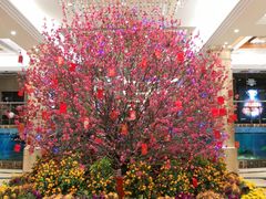 大堂-新世纪大酒楼·30年南海菜
