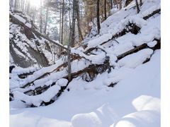 -峡谷浮石林景区