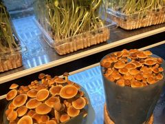 -丁卯•铜锅涮肉(工体店)