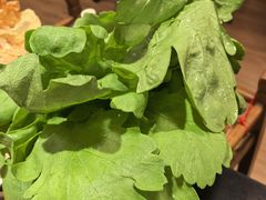 -芦月轩羊蝎子(劲松店)