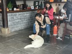 -环秀楼(黄山呈坎店)