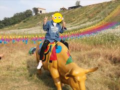 -南戴河国际娱乐中心