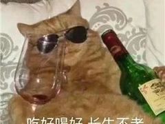 -Wagas沃歌斯(百盛优客店)