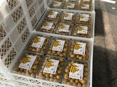 -东方鼎信农副产品交易中心