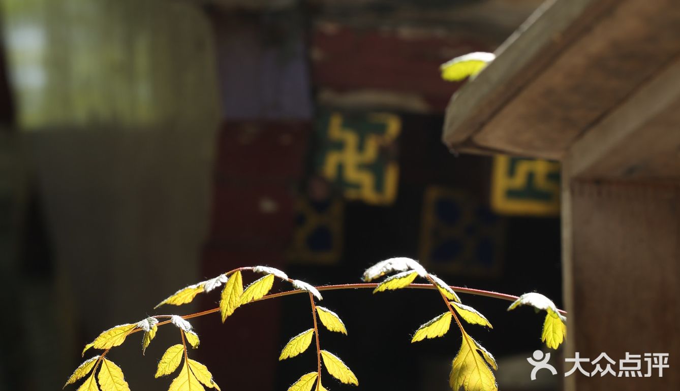 春色正好,游客不少。疫情前只有附近居民饭后来遛达