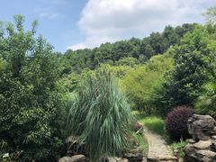 -铁山坪森林公园