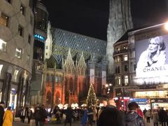 -斯蒂芬主教座堂(Stephansdom)