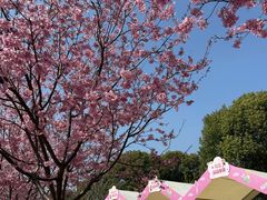 -凤凰沟景区