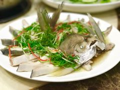 -九道菜有鸡鱼头(石鼓路店)
