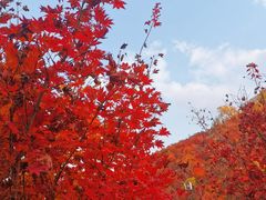 -龙道沟景区