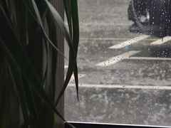 -Teacher's 咖啡·精酿啤酒