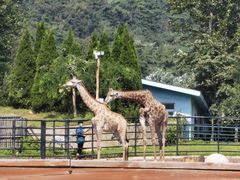 -大连森林动物园