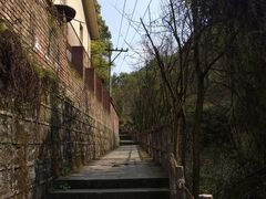 -南山植物园