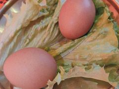 -杨记齐齐哈尔烤肉(总店)