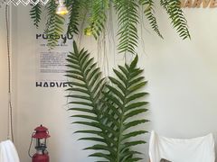 -收获咖啡HARVEST RESERVE(苍山店)