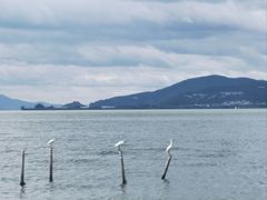 -嘉华饼屋(金实路店)