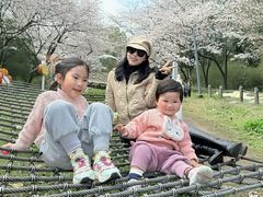 -杭州少年儿童公园