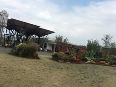 -上海长兴岛郊野公园