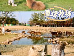 -盈香心动乐园