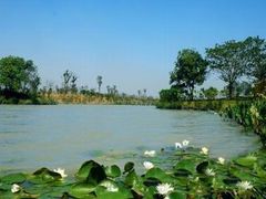 -艾溪湖湿地公园