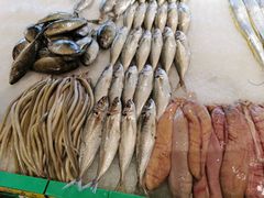 -海蓝海鲜馆(五四北店)