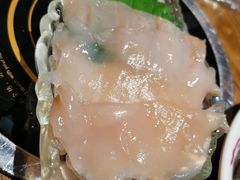 象拔蚌-阳光岛·海鲜盛宴(银泰中心in99店)