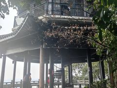 -杭州半山国家森林公园