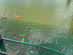 -陶祖圣境风景区