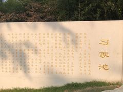 -习家池