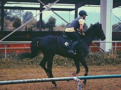 -重庆和泰马术俱乐部