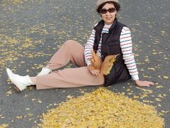 -三里屯东五街银杏大道