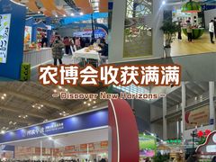 -宁波国际会展中心