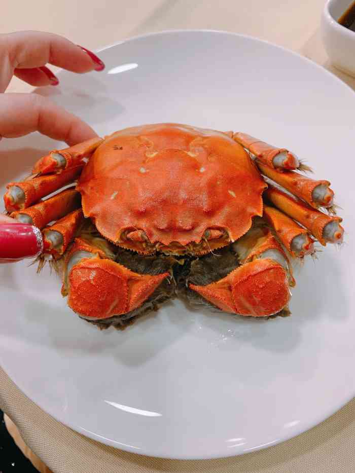 王宝和酒家黄浦店