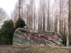 -东平国家森林公园