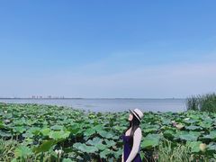 -阳澄湖费尔蒙酒店