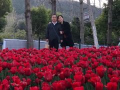 景点-西昌邛海湿地