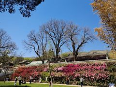 -红螺寺