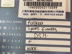 -申普宠物医院·心脏介入·心血管微创(总院)