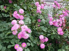 -星巴克臻选(泰州万达广场店)