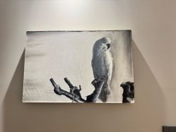 -一个差评成就的纹眉店