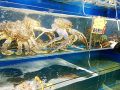 -蚝专家(北滘店)