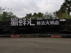 -二荆条·蜀鲜汇城市森林火锅