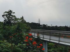 -仙岳公园