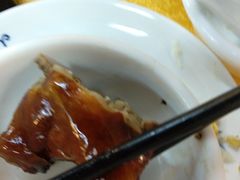 -鸽王世家(东华东路店)