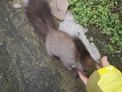 -两江国际影视城