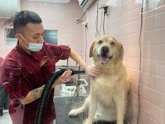 -FAELING PETS美天灵宠物(富力广场店)