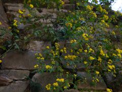 -终南山南五台景区