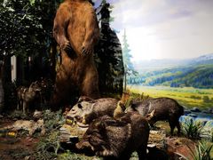 -陕西自然博物馆