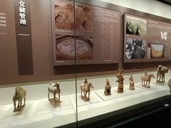 -隋唐大运河文化博物馆