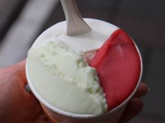 -Dip in Gelato(富民路店)